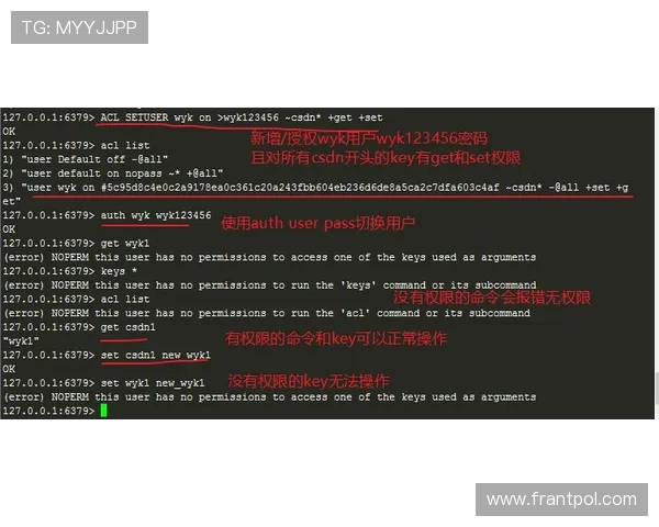 详解AG尊龙官网下载流程与安全保障措施，确保每位玩家都能无忧注册与游戏体验